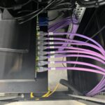 eight purple ethernet cables plugged into a router